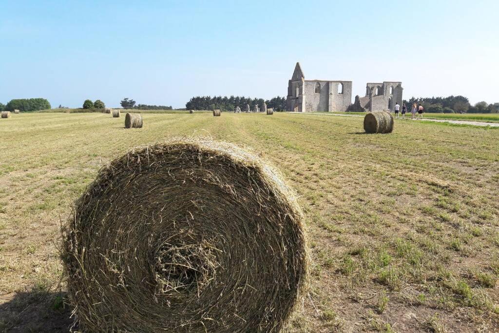 La Virginie - Suite Ile'O La Couarde-sur-Mer Exteriér fotografie