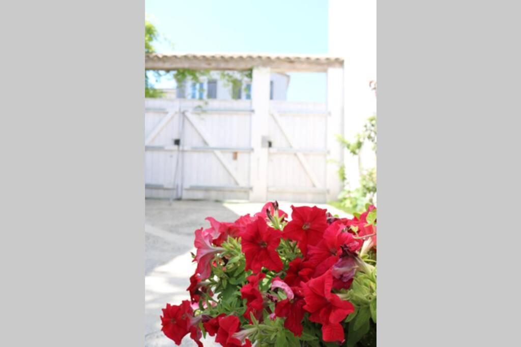 La Virginie - Suite Ile'O La Couarde-sur-Mer Exteriér fotografie